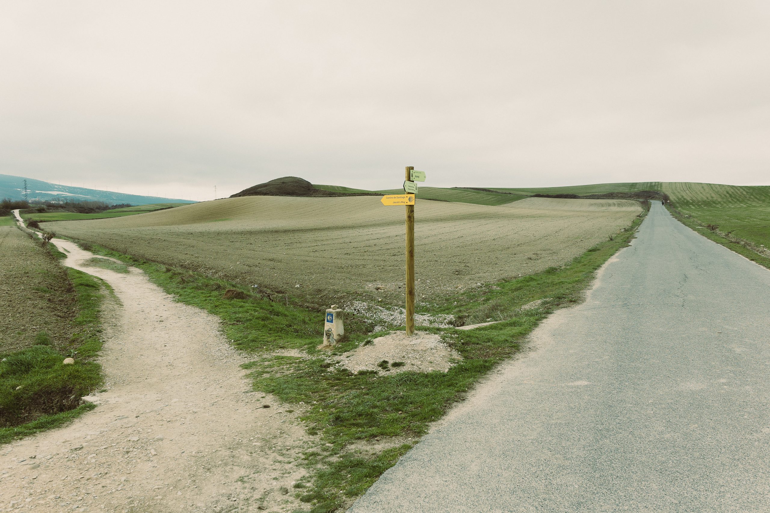 The foods from El Camino de Santiago, ranked (specifically, the top 10 foods)